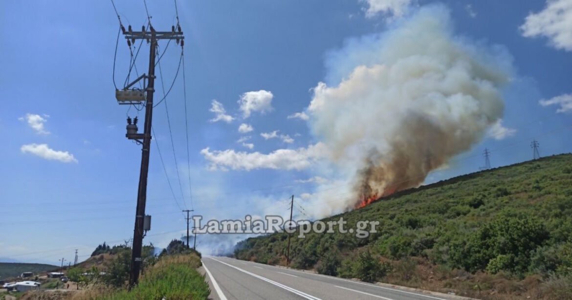 Φωτιά στην Καμηλόβρυση Φθιώτιδας: Μήνυμα του 112 – «Παραμείνετε σε ετοιμότητα»