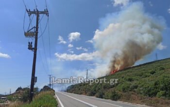 Φωτιά στην Καμηλόβρυση Φθιώτιδας: Μήνυμα του 112 – «Παραμείνετε σε ετοιμότητα»