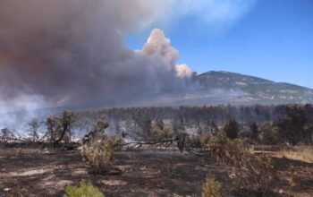 ΠΑΣΟΚ – Τσίπρας:  Ερωτήματα για τις πυρκαγιές