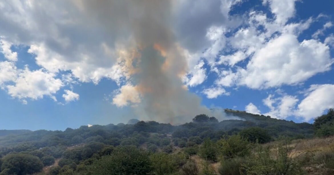 Φωτιά στη Λαμπεία Ηλείας – 7 αεροσκάφη στη μάχη της κατάσβεσης