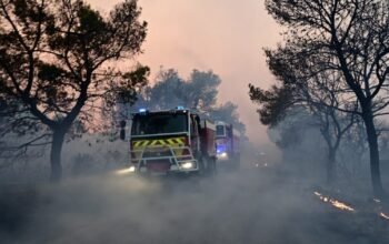 Φωτιά στη Μαγνησία στην περιοχή Άγιος Λαυρέντιος – Επιχειρούν 3 εναέρια μέσα