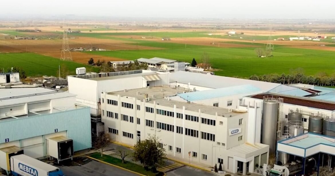 ΜΕΒΓΑΛ: Με γιαούρτι και φέτα ενισχύει τη θέση της στις διεθνείς αγορές
