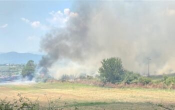 Φωτιά στο Αγρίνιο στην περιοχή Μεγάλη Χώρα: Απειλείται φωτοβολταϊκό πάρκο – Αεροσκάφη παλεύουν με τις φλόγες