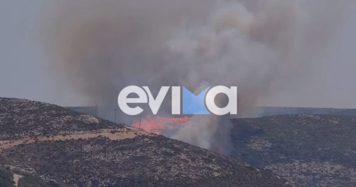 Φωτιά στην Σκύρο στην περιοχή Κολυμπάδα: Επιχειρούν 4 αεροσκάφη
