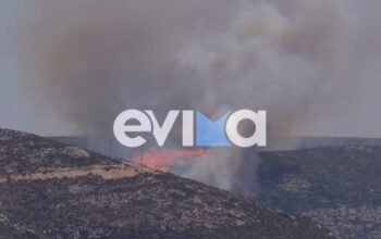Φωτιά στην Σκύρο στην περιοχή Κολυμπάδα: Επιχειρούν 4 αεροσκάφη