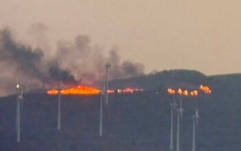 Φωτιά στη Σητεία στην περιοχή Αχλαδιά – Άμεση επέμβαση της πυροσβεστικής