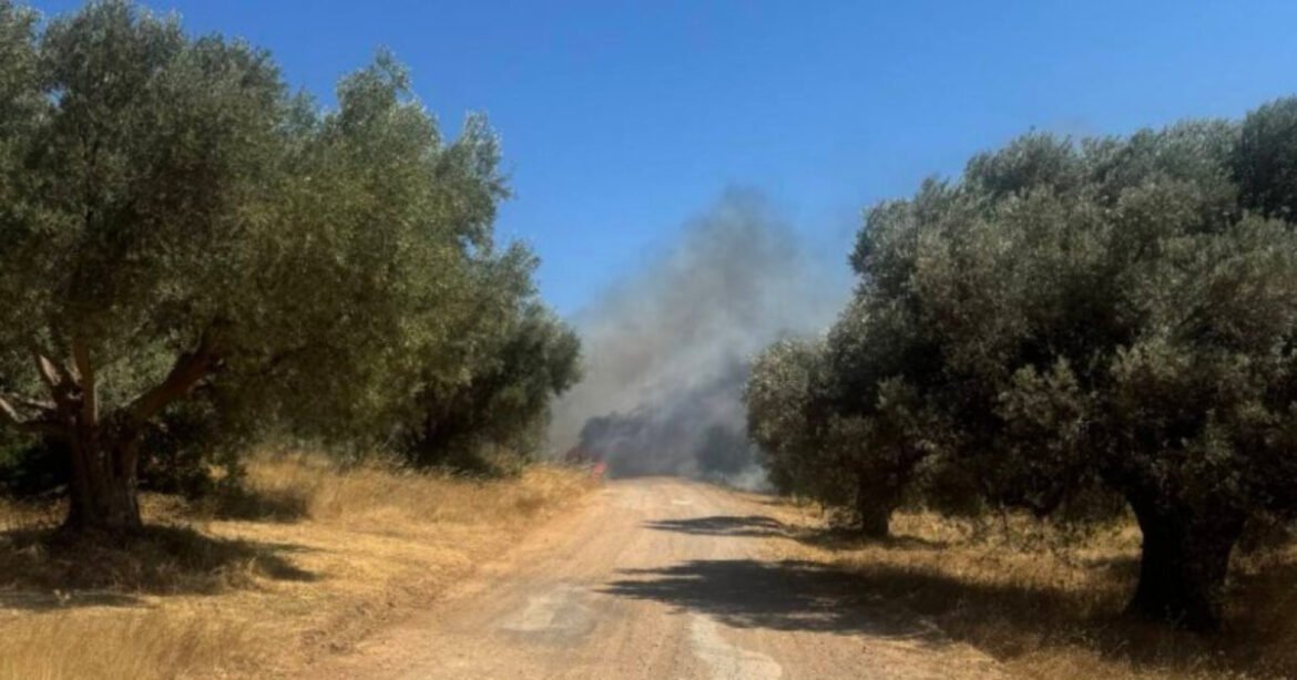 Φωτιά στο Πικέρμι: Βρέθηκε απανθρακωμένη σορός σε αυτοκίνητο – Μήνυμα του 112 για ετοιμότητα