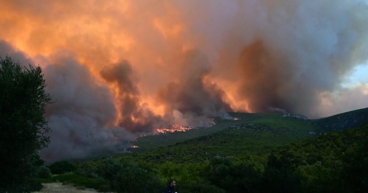 Φωτιά σε δάσος στο Κερασοχώρι Αγράφων – Και εναέρια μέσα στο σημείο