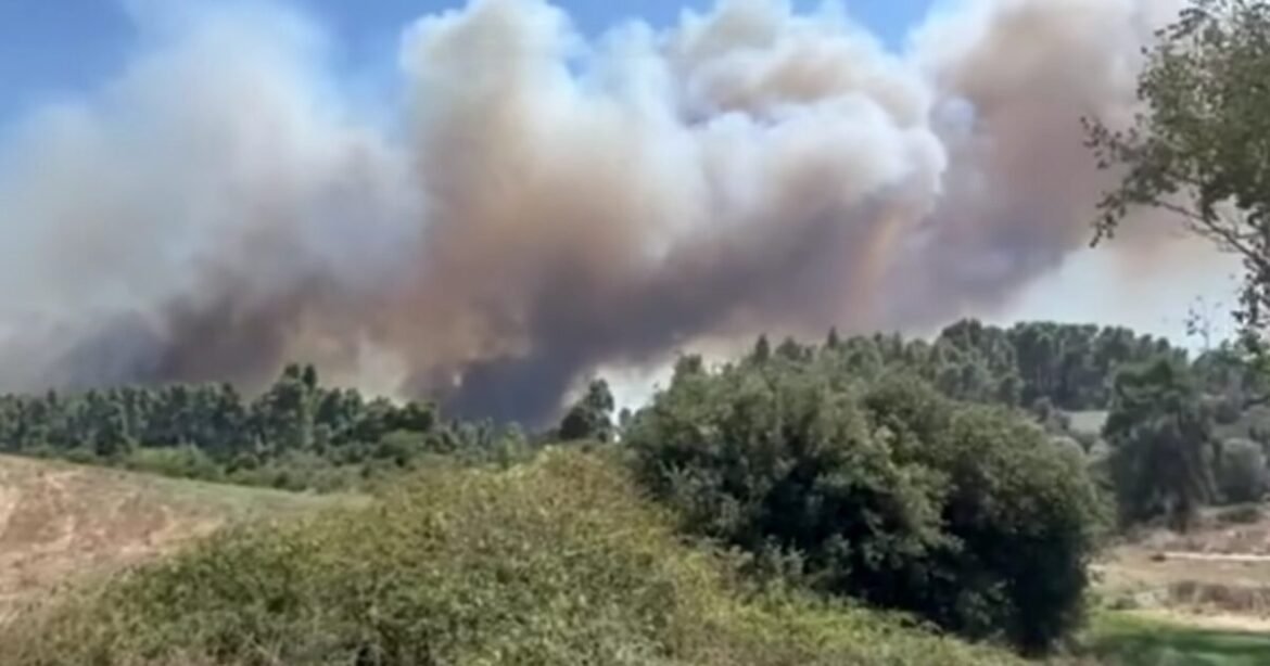 Μεγάλη φωτιά στη Σίβηρη Χαλκιδικής: Μηνύματα 112 για εκκενώσεις 2 περιοχών – Επιχειρούν 11 εναέρια