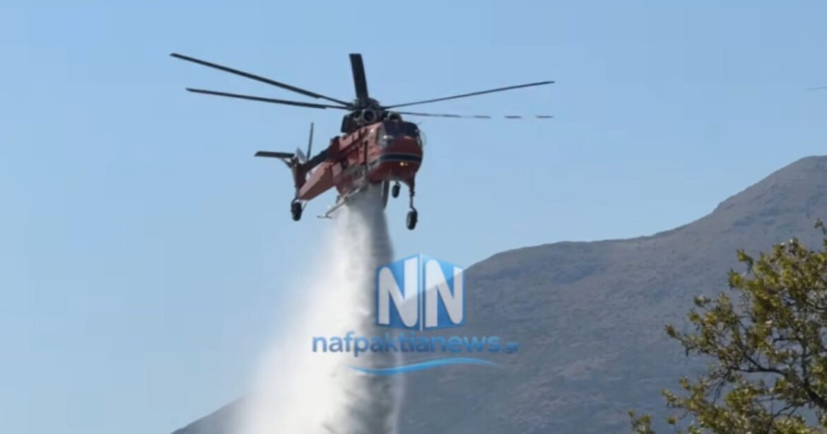 Φωτιά στην Αιτωλοακαρνανία: Μεγάλη κινητοποίηση της πυροσβεστικής στο Θέρμο