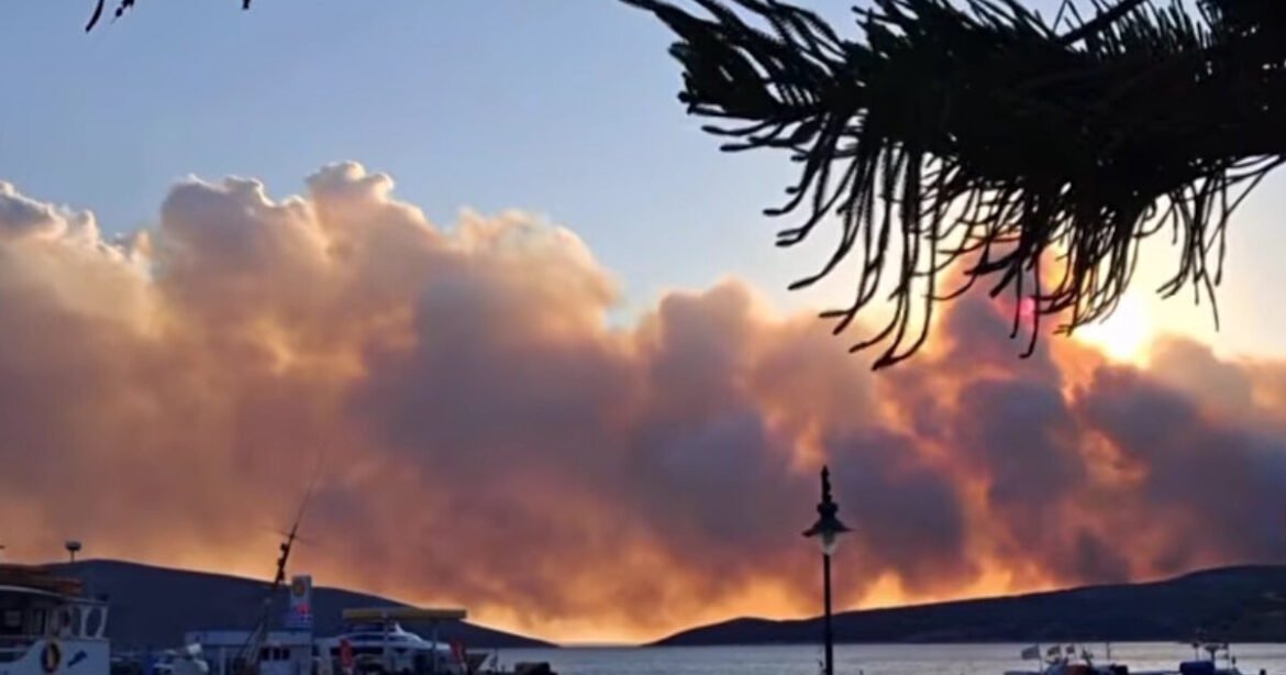 Φωτιά στη Σκύρο: Ξεκίνησαν και πάλι οι ρίψεις από 6 εναέρια μέσα – Μάχη με τους ισχυρούς ανέμους των 7 μποφόρ