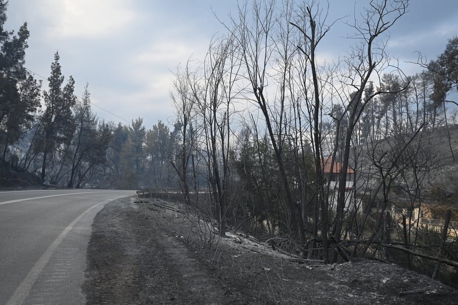 Σκέρτσος για φωτιά στη Χαλκιδική:  Η αντιπολίτευση ακυρώνει το έργο των πυροσβεστών