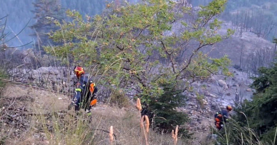 Φωτιά στο Μεσολόγγι σε αγροτική έκταση στην περιοχή Λεύκα – Σηκώθηκαν και εναέρια