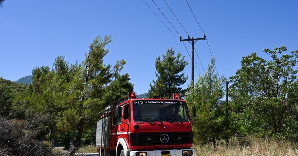 Πυρκαγιά στην Τουρτούγια Λάρισας – Καίει χαμηλή βλάστηση