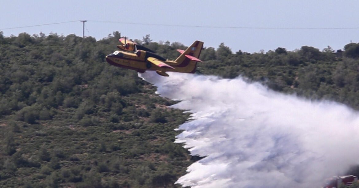 Φωτιά στα Τρίκαλα στο Γενέσι: Επιχειρούν 2 αεροσκάφη