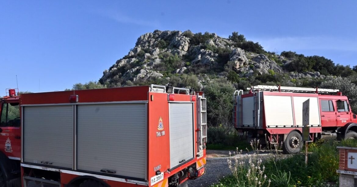 Φωτιά στη Στεφάνη Βοιωτίας – Κινητοποιήθηκαν 3 ελικόπτερα και ένα αεροπλάνο