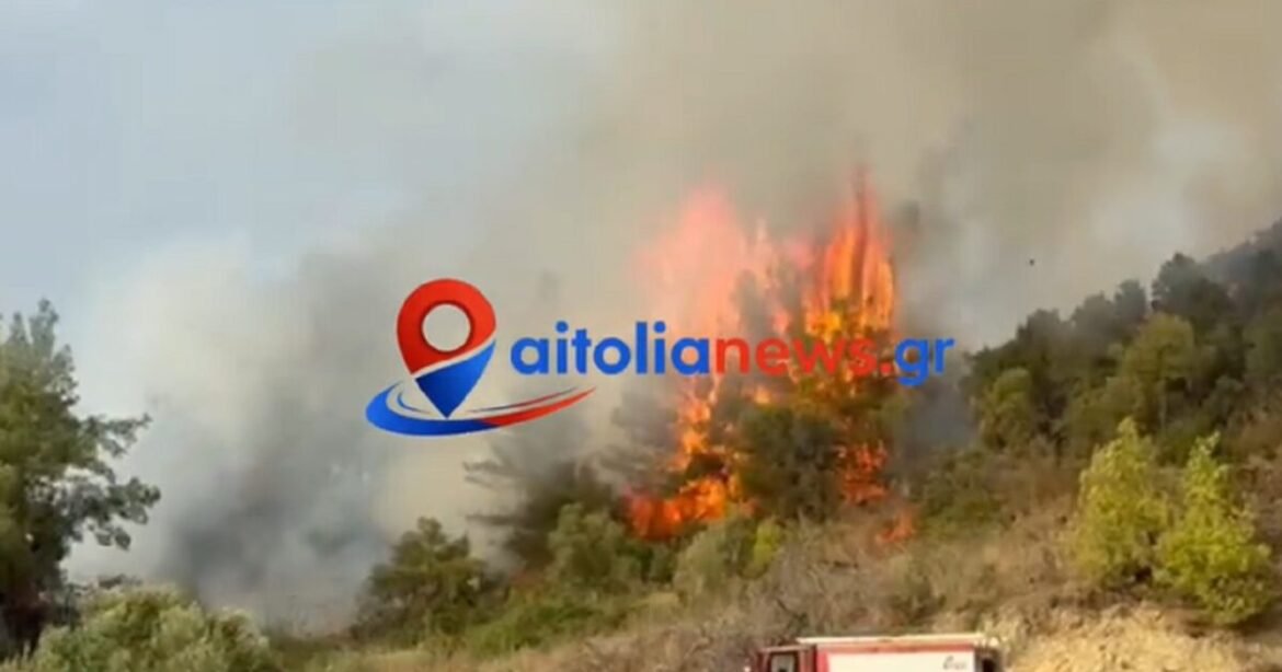 Φωτιά στο Μεσολόγγι στο πεδίο βολής – Ισχυρές δυνάμεις στο σημείο
