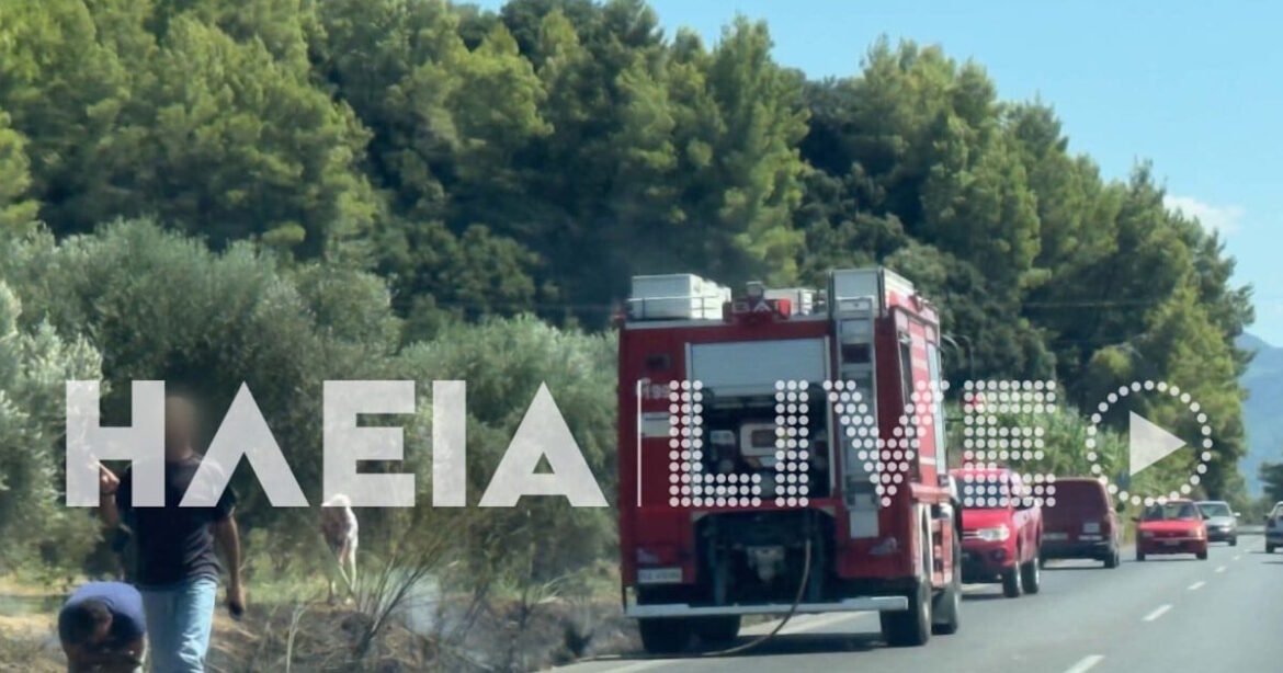 Φωτιές στη νότια Ηλεία: Μεγάλη κινητοποίηση της πυροσβεστικής σε Κάτω Σαμικό και Αγρίδι