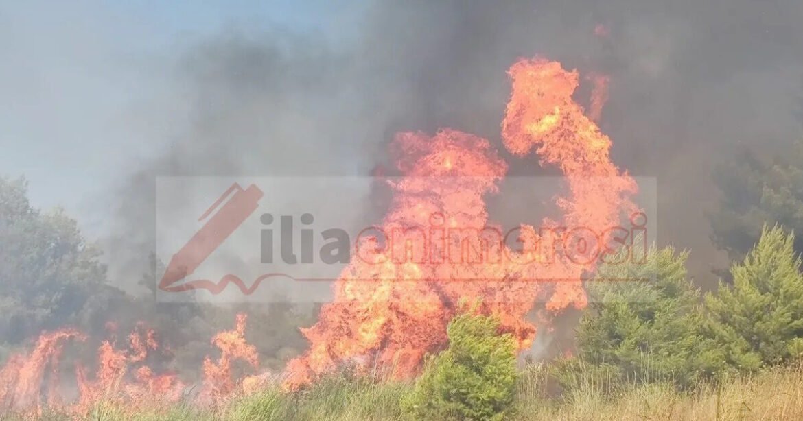 Φωτιά στα Διάσελλα Ηλείας: Οι φλόγες απειλούν σπίτια, σηκώθηκαν 6 αεροσκάφη