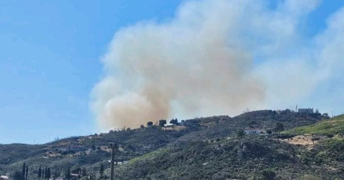 Φωτιά στη Δροσοπηγή: Μεγάλη κινητοποίηση της πυροσβεστικής – Εναέρια μέσα παλεύουν με τις φλόγες