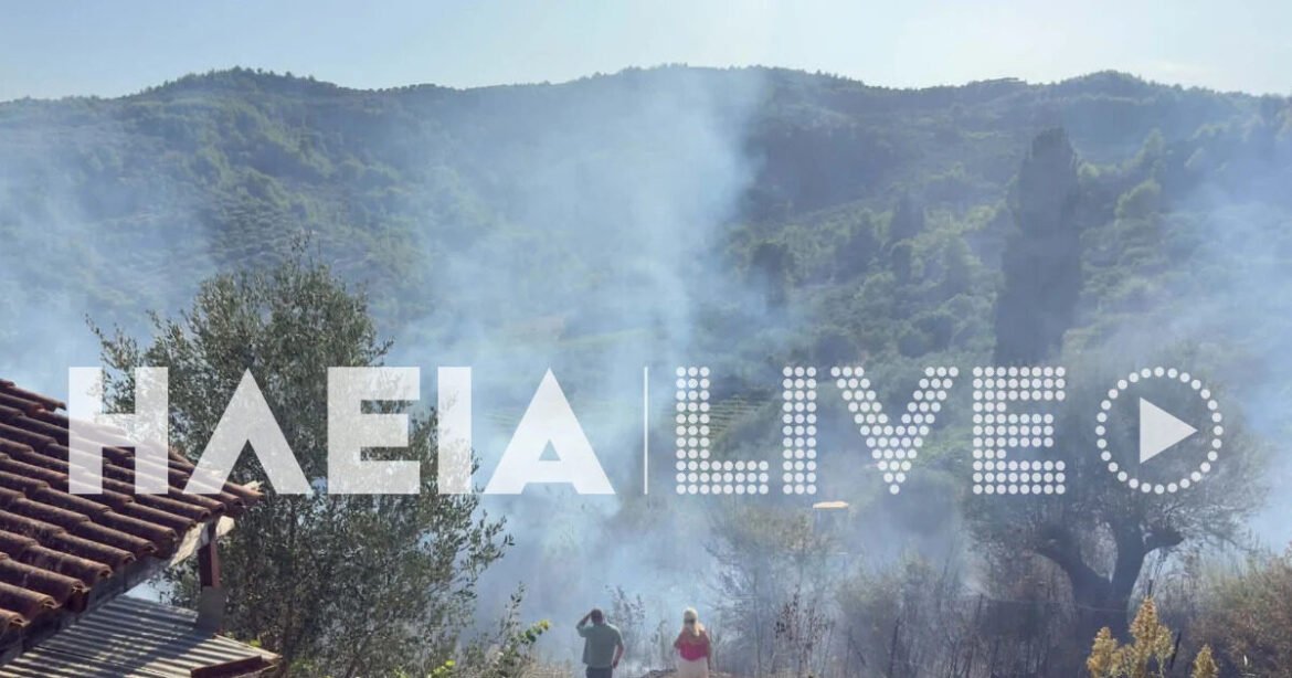 Φωτιά στην Ηλεία στην περιοχή Χειμαδιό: Ρίψεις νερού από 3 αεροσκάφη