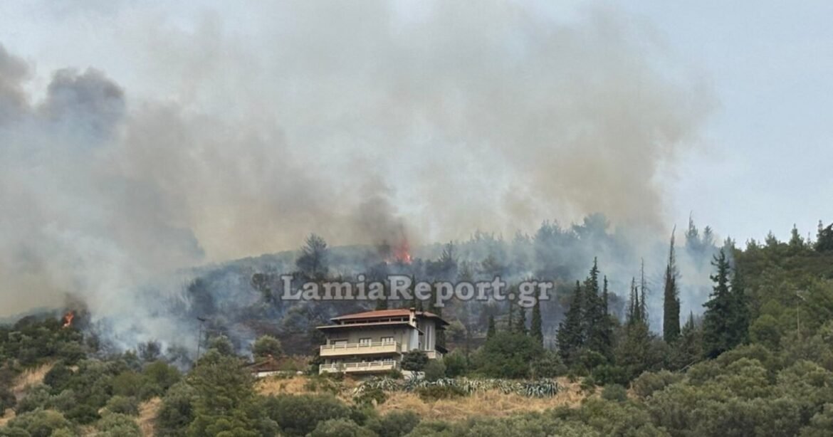 Φωτιά σε αγροτοδασική έκταση στην Πελασγία Φθιώτιδας: Επιχειρούν και εναέρια μέσα