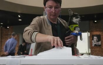 Εκλογές στη Ρωσία: Άνετη νίκη για το κόμμα του Πούτιν δείχνουν τα πρώτα αποτελέσματα