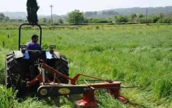 Αγρότες: Όσα πρέπει να ξέρουν για την Ενιαία Αίτηση Ενίσχυσης – 30 ερωτήσεις και απαντήσεις