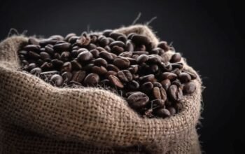 Athens Coffee Festival 2026: Τριήμερη γιορτή καφέ και διασκέδασης στην Τεχνόπολη