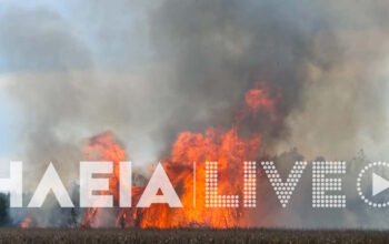 Φωτιά στον Πύργο: Καίει στον Άγιο Κωνσταντίνο – Σηκώθηκαν 3 αεροσκάφη