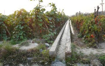 Αρδευτικά έργα αξίας 1,2 δισ. ευρώ: Φράγματα, λιμνοδεξαμενές, έργα μεταφοράς νερού σε όλη τη χώρα