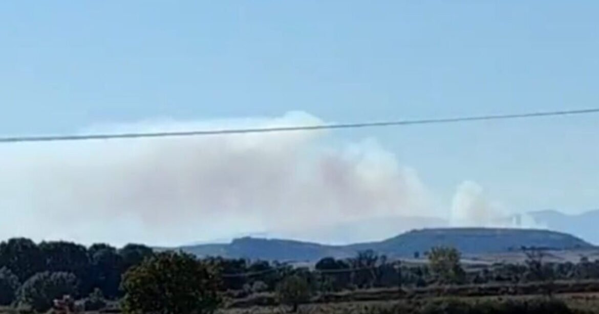 Σουφλί: Πέρασε στην Ελλάδα η μεγάλη φωτιά από τη Βουλγαρία – Ισχυρές δυνάμεις στα σύνορα