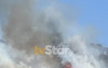 Φωτιά στη Λαμία – Ξεκίνησε από ξερά χόρτα, απειλεί δάσος