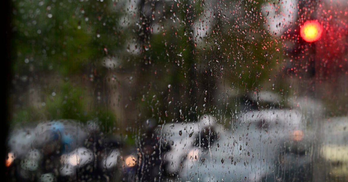 Πτώση δέντρου και κυκλοφοριακά προβλήματα στη λεωφόρο Μαραθώνος