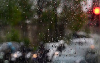 Πτώση δέντρου και κυκλοφοριακά προβλήματα στη λεωφόρο Μαραθώνος